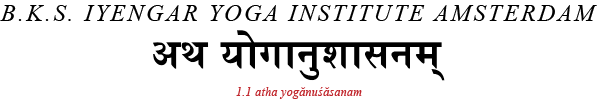 B.K.S. Iyengar Yoga Institute Amsterdam Logo